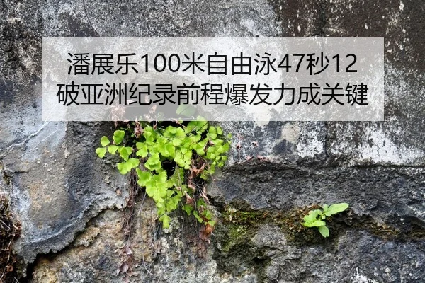 潘展乐100米自由泳47秒12破亚洲纪录前程爆发力成关键